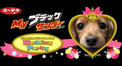 作例
