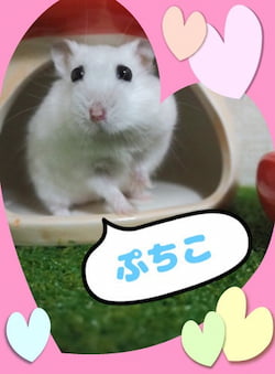 作例