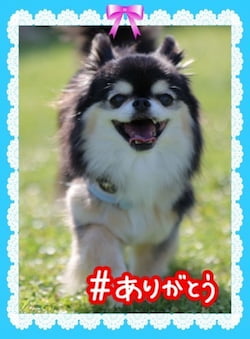 作例