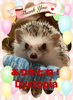 作例