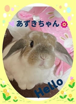 作例