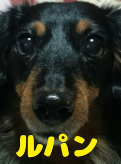 作例