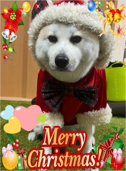 作例