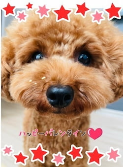 作例