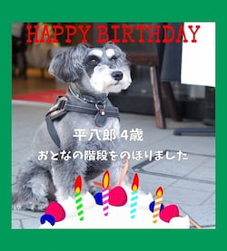 作例