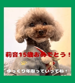 作例