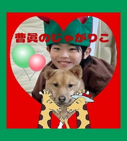 作例