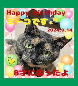 作例