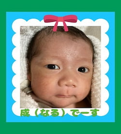 作例