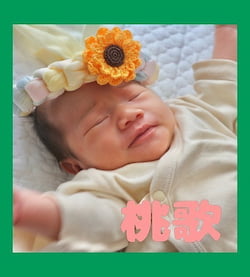 作例