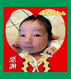 作例