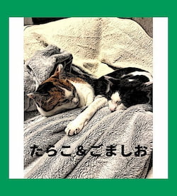 作例