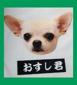 作例