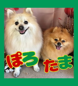 作例