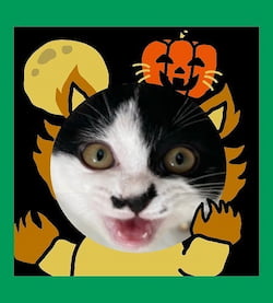 作例