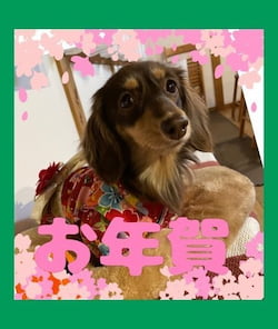 作例