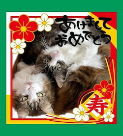 作例