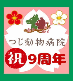作例