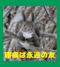 作例