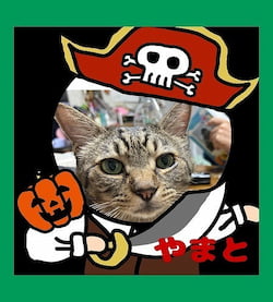 作例