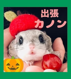 作例