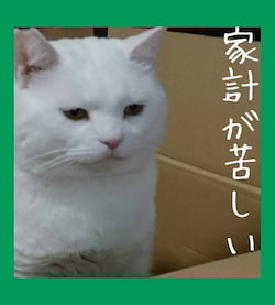 作例
