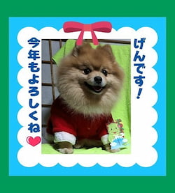 作例