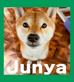 作例