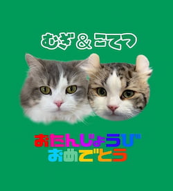 作例