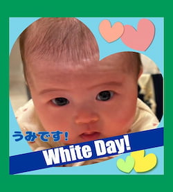 作例