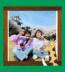 作例