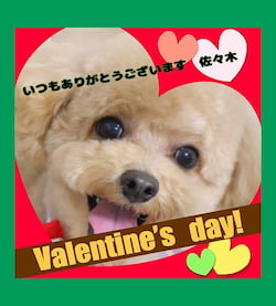 作例