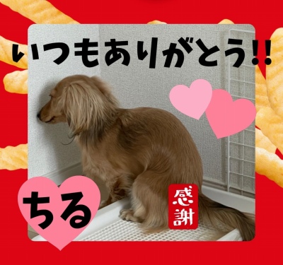 作例
