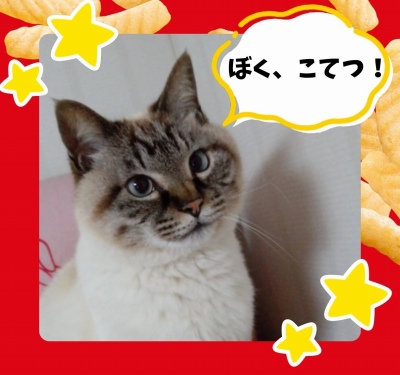 作例