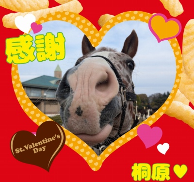 作例
