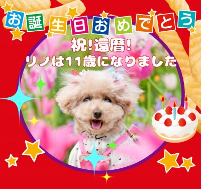 作例