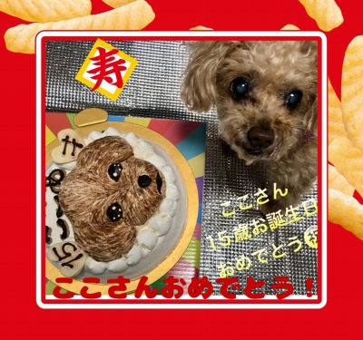 作例