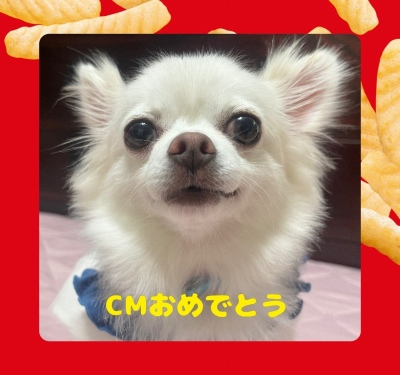 作例