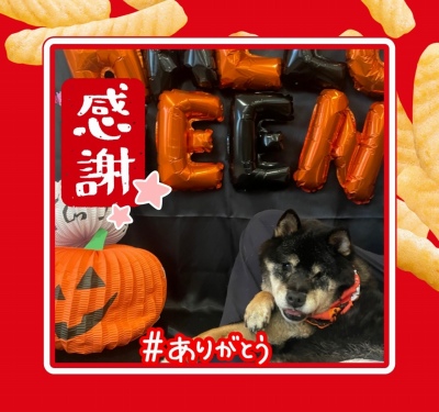 作例