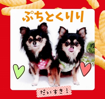 作例