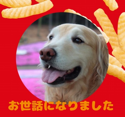 作例