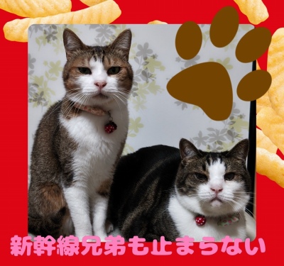 作例
