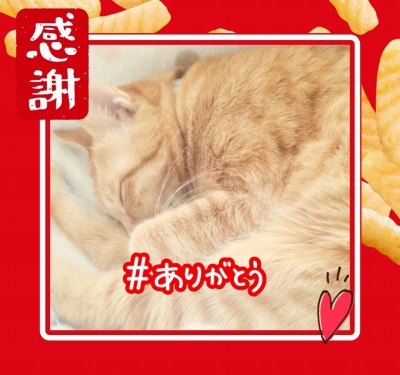 作例