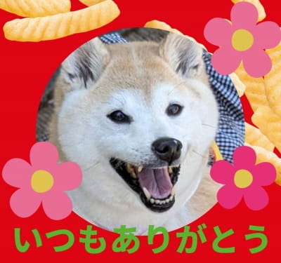 作例