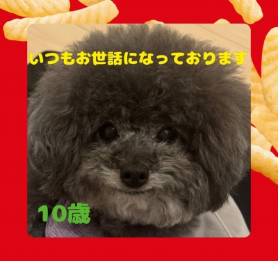 作例