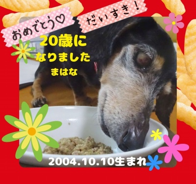 作例