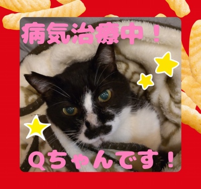 作例