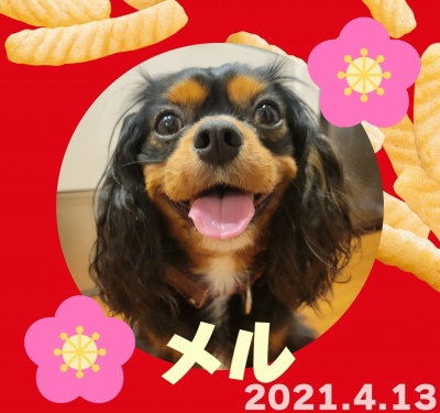 作例