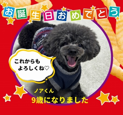 作例
