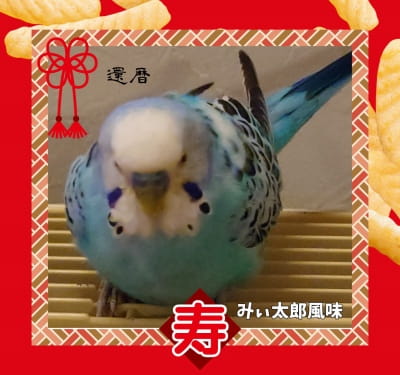 作例